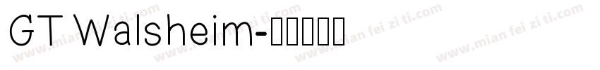 GT Walsheim字体转换